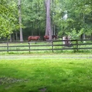 Meet your Posher, Kristin